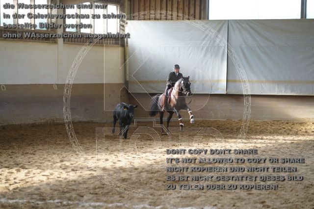 s_K3F02386.JPG